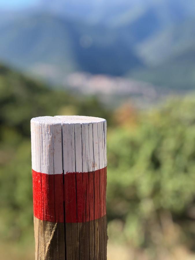 Il Minotauro B&B A 5 Minuti Da Popoli Vittorito Buitenkant foto